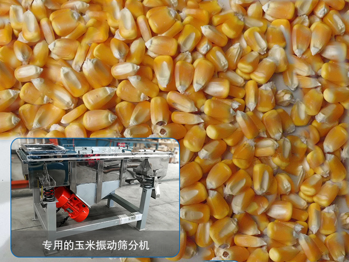 玉米精品推荐国产麻豆剧传媒